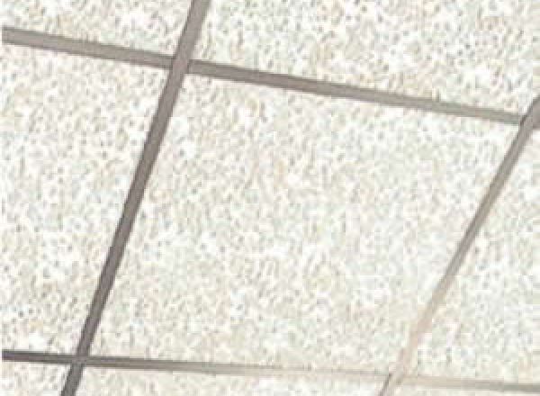 CEILING TILES